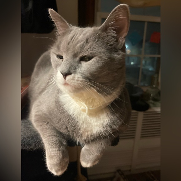 Meet your Posher, Leanne - Picture 11 of 13